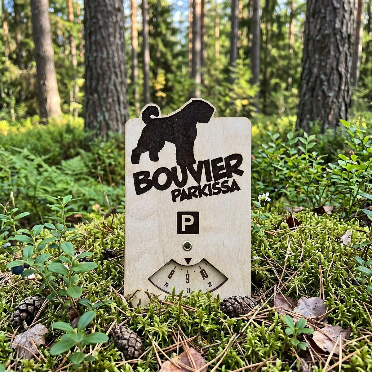 Bouvier parkkikiekko