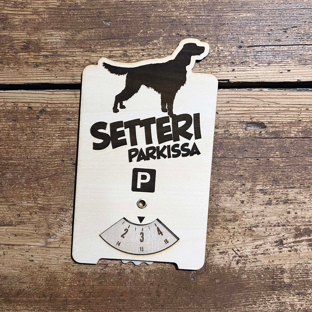 Irlanninsetteri parkkikiekko